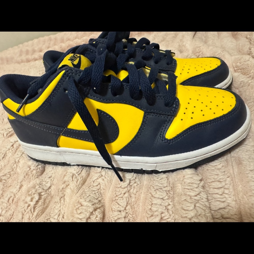 Nike Dunk Low